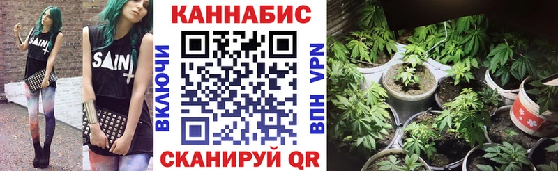 Конопля индика  Медногорск 